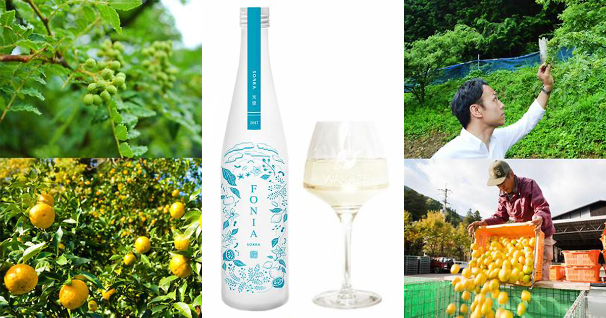 180012本 入りwakaページです 他の方購入不可です Acquire Waka Solo 2 Disposable 18MG 3000 Puffs